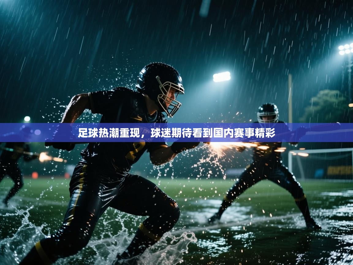 足球热潮重现，球迷期待看到国内赛事精彩