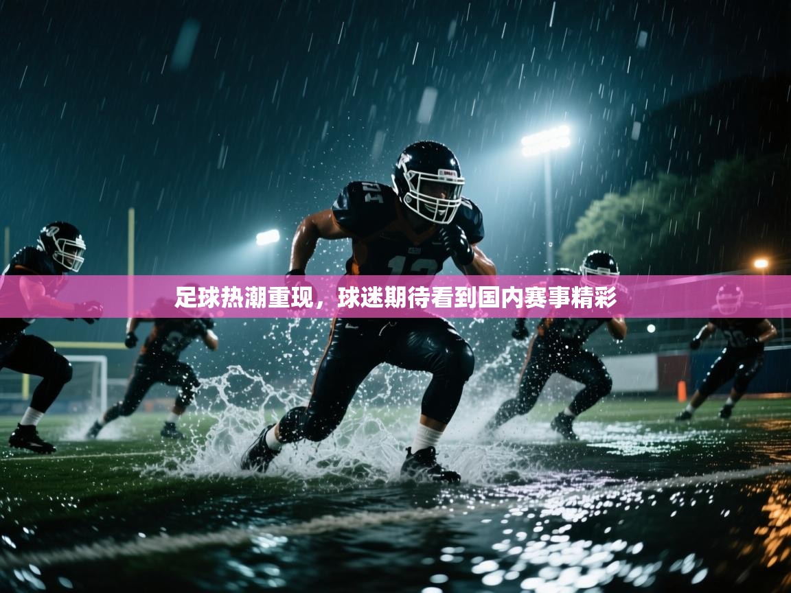 足球热潮重现，球迷期待看到国内赛事精彩