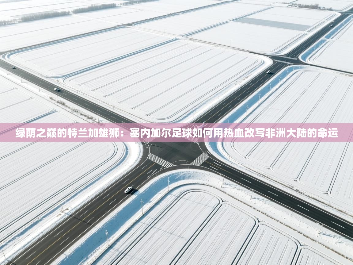 绿荫之巅的特兰加雄狮：塞内加尔足球如何用热血改写非洲大陆的命运  第1张