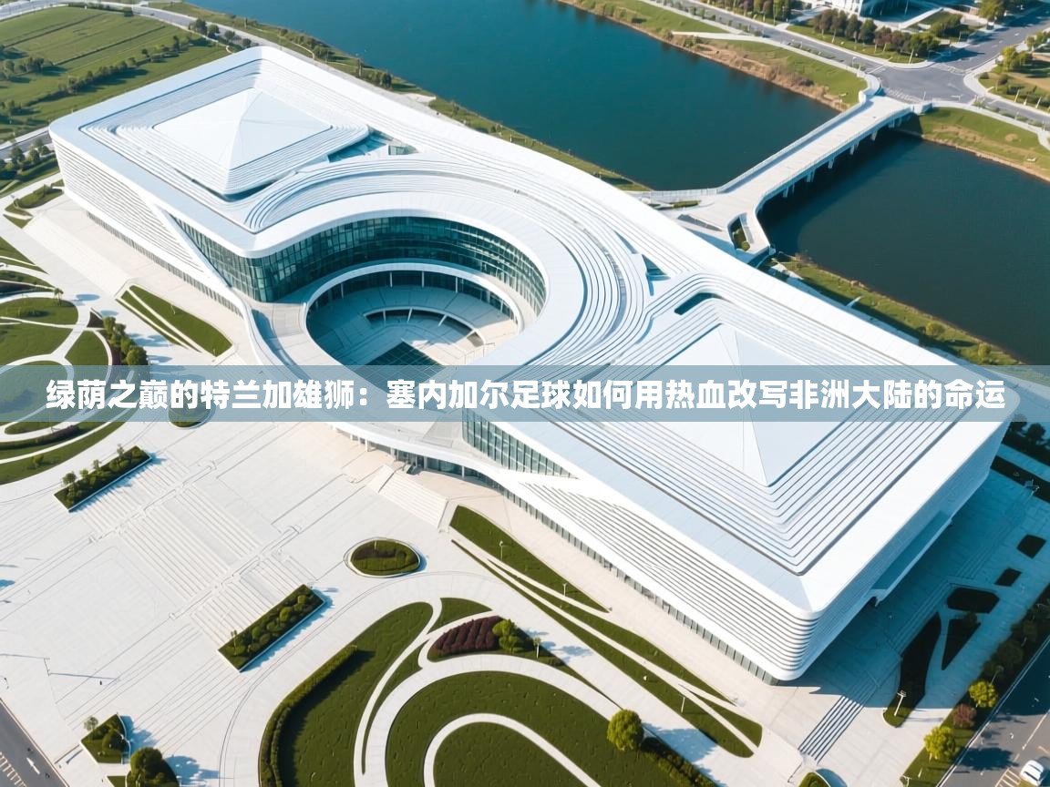 绿荫之巅的特兰加雄狮：塞内加尔足球如何用热血改写非洲大陆的命运  第2张