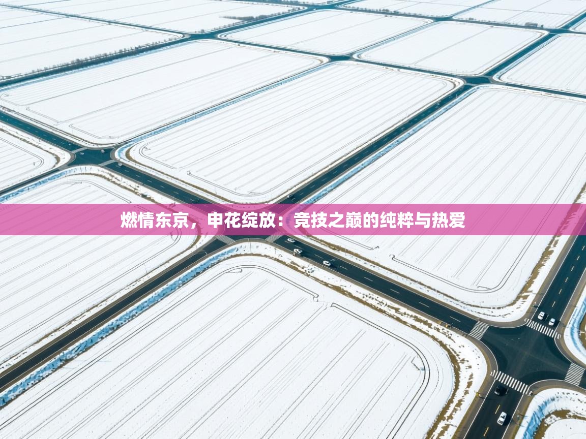 燃情东京，申花绽放：竞技之巅的纯粹与热爱