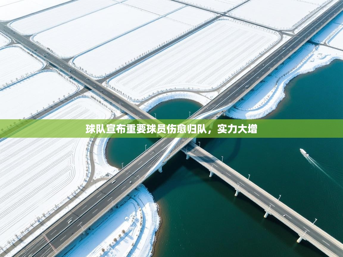 球队宣布重要球员伤愈归队，实力大增