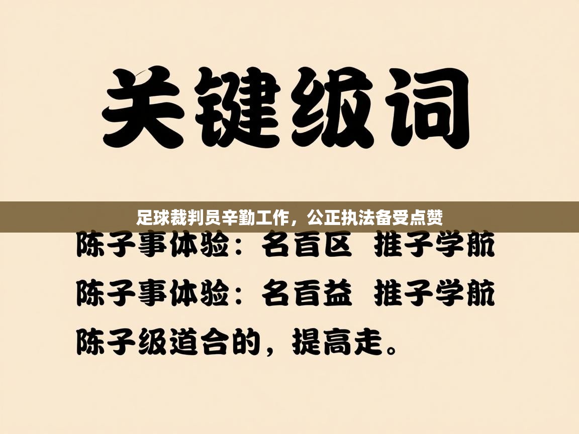 足球裁判员辛勤工作，公正执法备受点赞