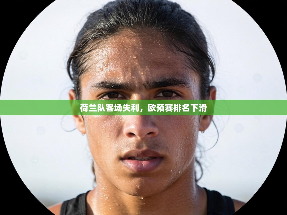 荷兰队客场失利，欧预赛排名下滑  第2张